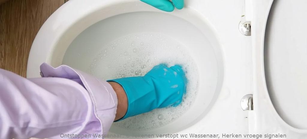 6 Tekenen verstopt wc Wassenaar, Herken vroege signalen